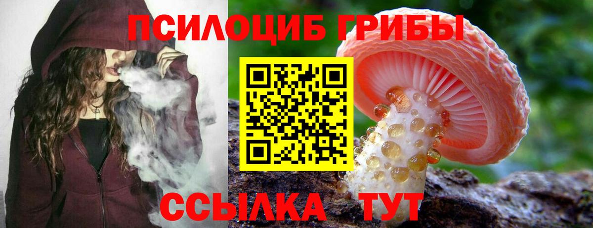Псилоцибиновые грибы Magic Shrooms Донской